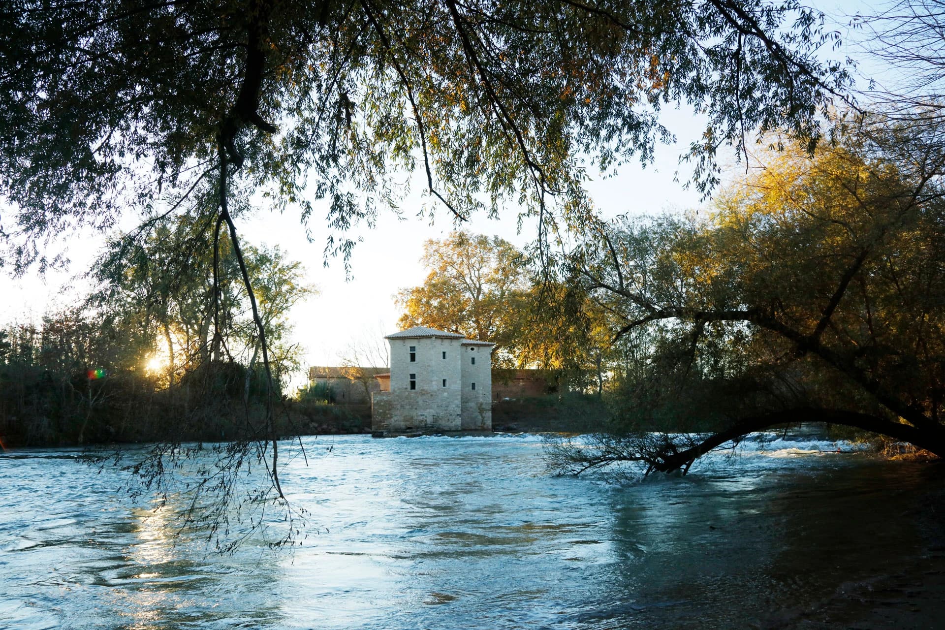 Harmonie avec la nature